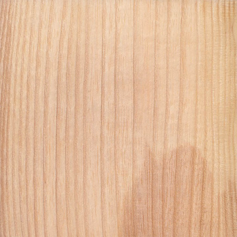 gỗ tần bì Châu Âu