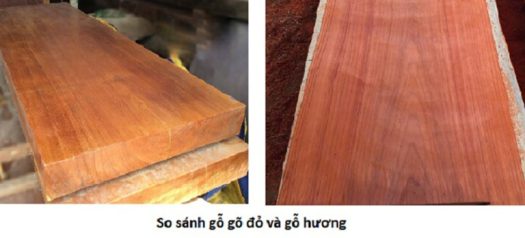 gỗ gõ đỏ và gỗ hương